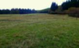 Über FABio durch den Förderverein für die Natur des Osterzgebirges (FV) gepflegte Nasswiese im Kohlhau, Kerngebiet Grenzwiesen Fürstenau  (Aufnahme B. König)
