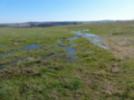 Heidegraben, Blickrichtung Müglitzgrund/Haberfeld (Aufnahme  am 04.04.19, H. Menzer)