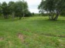 Wiese am Georgenfelder Hochmoor nach der Entbuschung über die RL NE/2014 durch den FV für die Natur des Osterzgebirges (Aufnahmen B. König)