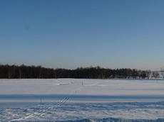 Schneespuren in der Fürstenauer Heide
