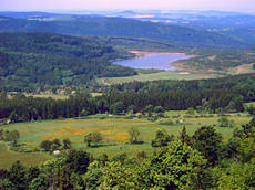 nördliche Blickrichtung mit Luchberg im Hintergrund