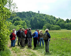 Frühlingswanderung am Klengelsteig 2.Juni 2012