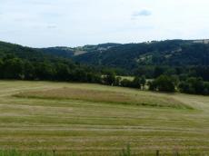 Sperrfläche Wachtelkönig auf einer Wiese am Geisingberg