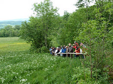 An der Liftwiese