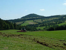 Bodenverwundung mit der Scheibenegge