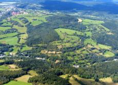 kleingliedrige Steinrückenlandschaft am Osthang vom Geisingberg