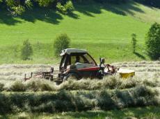 Mahd kleiner hängiger Flächen zwischen Geising und Löwenhain durch die gGmbH  Naturbewahrung Osterzgebirge