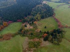 Ein Blick auf das strukturreiche Flächennaturdenkmal unterhalb der Sportstätten in Altenberg. Frisch  rasiert, wie man unschwer erkennen kann.