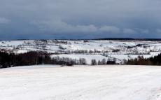 Kerngebiet „Haberfeld und Schwarzbachgrund“ bei Fürstenwalde