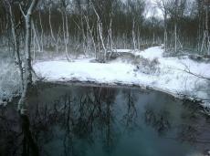 Winterstaustimmung in der Fürstenauer Heide