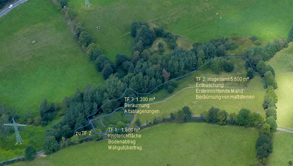 Darstellung  der Maßnahmen auf den Teilflächen