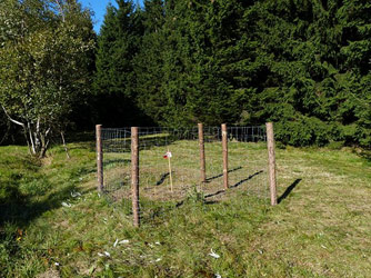 Wiederansiedlungsstandorte