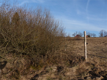 Quellgebiet der großen Biela