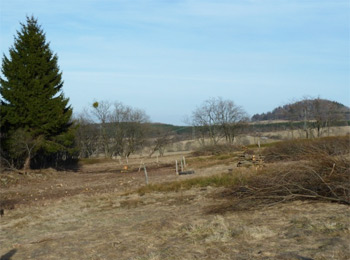Quellgebiet der großen Biela