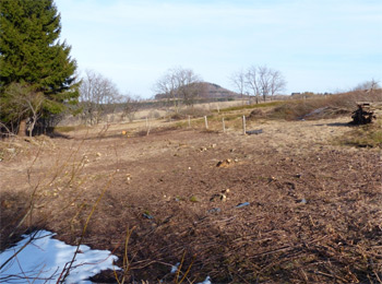 Quellgebiet der großen Biela