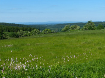 Quellgebiet der großen Biela