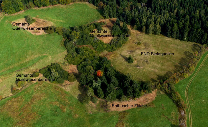 Quellgebiet der großen Biela