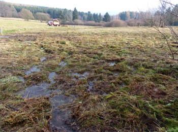 Quellgebiet der großen Biela