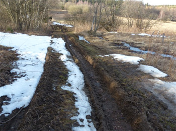 Quellgebiet der großen Biela