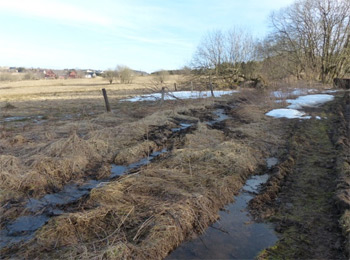 Quellgebiet der großen Biela