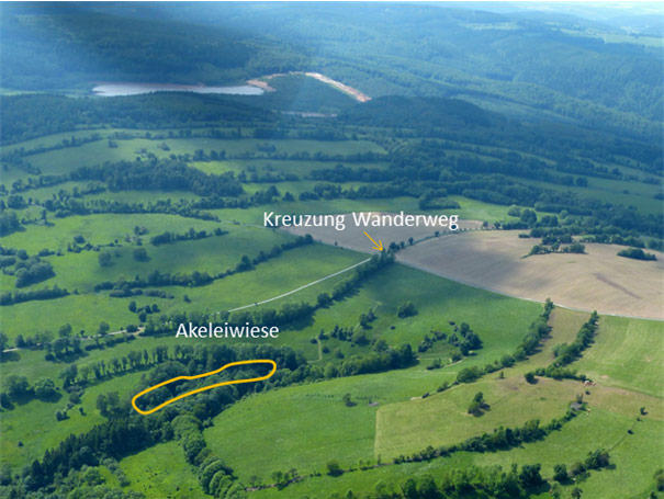 Fotodokumentation zur Entbuschung des FND Akeleiwiese, Bärenstein
