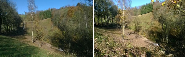 Fotodokumentation zur Entbuschung des FND Akeleiwiese, Bärenstein