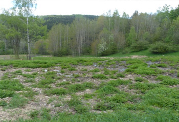 Renaturierung Rotwassertal