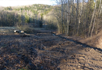 Renaturierung Rotwassertal