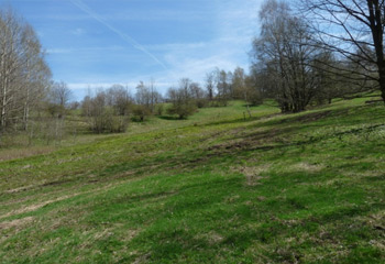 Renaturierung Rotwassertal