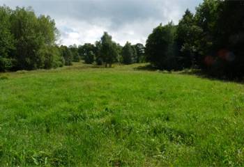 Renaturierung Rotwassertal