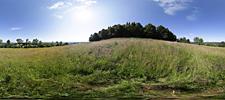 Liftwiese