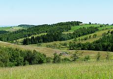 Blick ins Erdbachtal Grenzwiesen Fürstenau