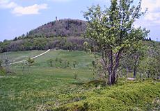 Frühling am Geisingberg