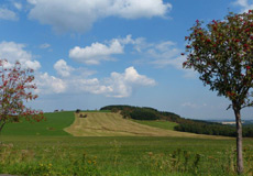 Der Hutberg