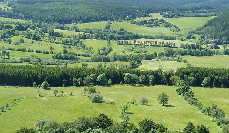 Geisingberg