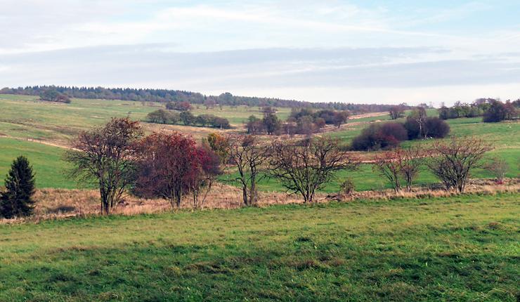 Schwarzbachgrund