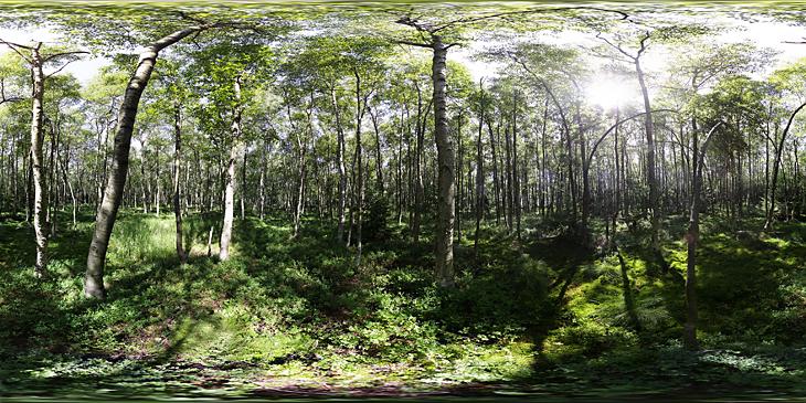 Fürstenauer Heide I