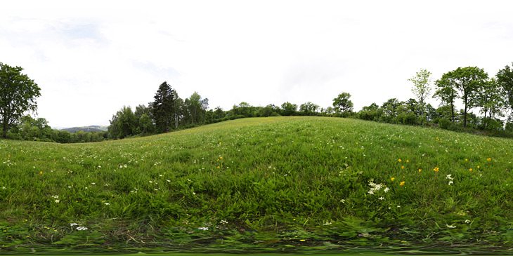 Hufeisenwiese im Frühsommer