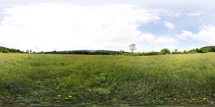 Klengelsteigwiese im Frühsommer